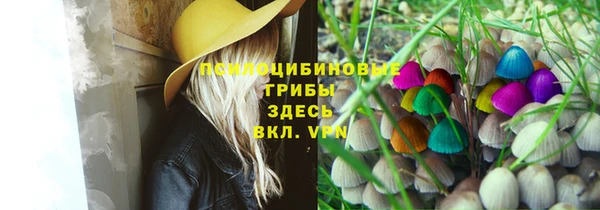 мескалин Елабуга