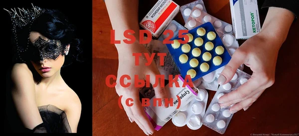 ГАЛЛЮЦИНОГЕННЫЕ ГРИБЫ Аркадак