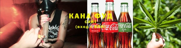ГАЛЛЮЦИНОГЕННЫЕ ГРИБЫ Аркадак