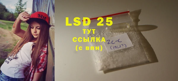 ГАЛЛЮЦИНОГЕННЫЕ ГРИБЫ Аркадак