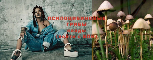 ГАЛЛЮЦИНОГЕННЫЕ ГРИБЫ Аркадак