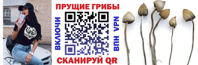 Псилоцибиновые грибы MAGIC MUSHROOMS  Гдов 